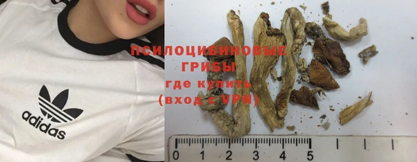 мяу мяу мука Кулебаки