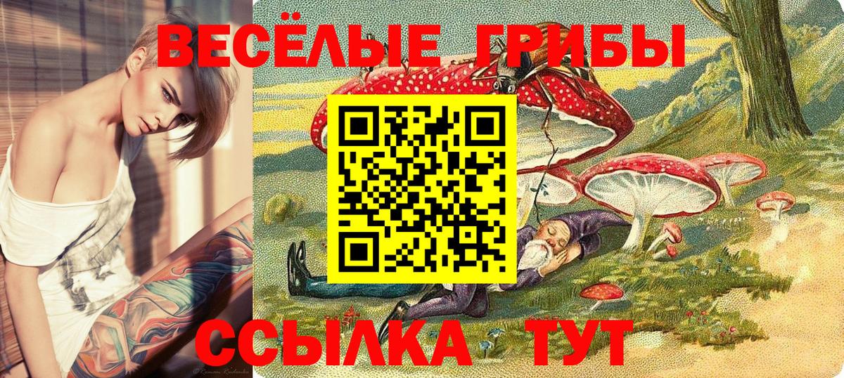 Галлюциногенные грибы прущие грибы Егорьевск