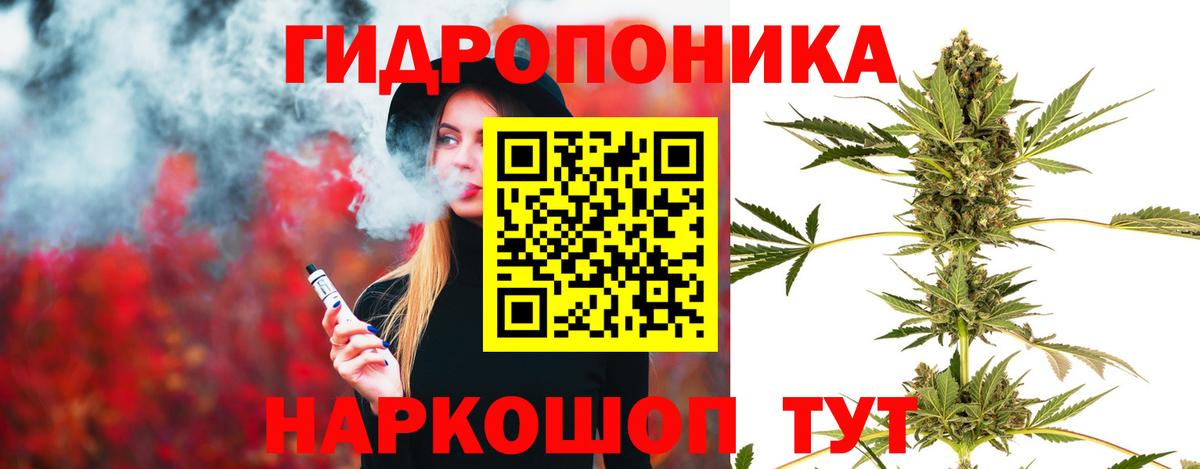 Конопля OG Kush Егорьевск